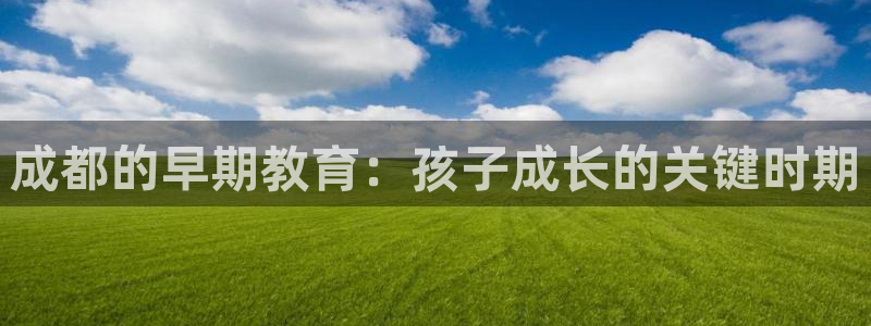恒行2吕74OOO5：成都的早期教育：孩子成长的关键时期