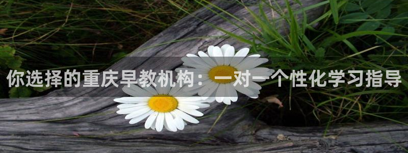 恒行2韩74OOO5：你选择的重庆早教机构：一对一个性化学习指导