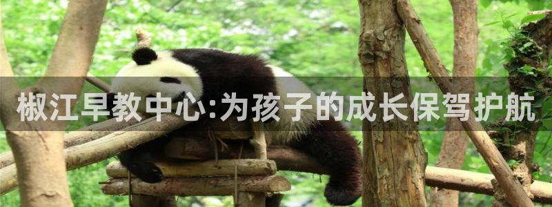 恒行娱乐芍皇74ooo5蛹：椒江早教中心:为孩子的成长保驾护航