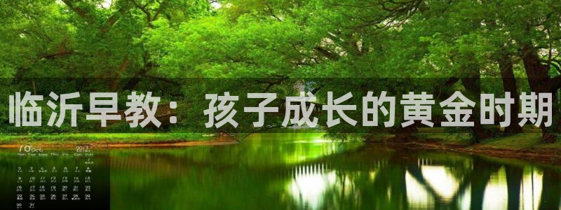 恒行娱乐吕74OOO5：临沂早教：孩子成长的黄金时期