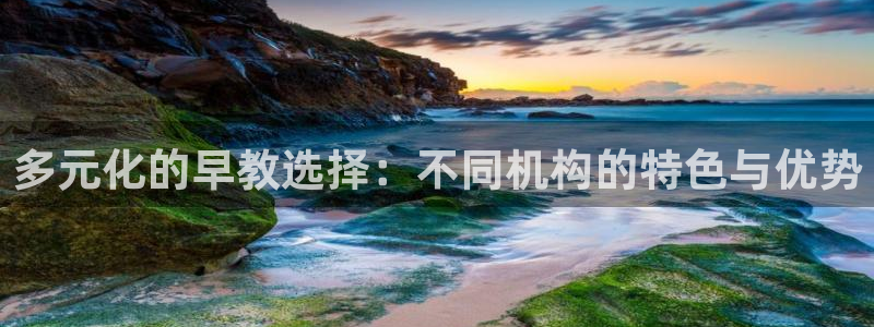 恒行娱乐景74ooo5诿抢：多元化的早教选择：不同机构的特色与优势