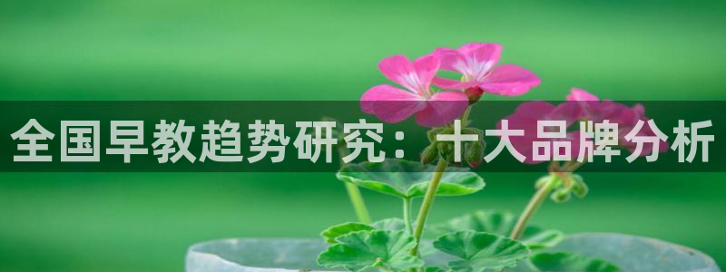 恒行主管6ll5l指定：全国早教趋势研究：十大品牌分析