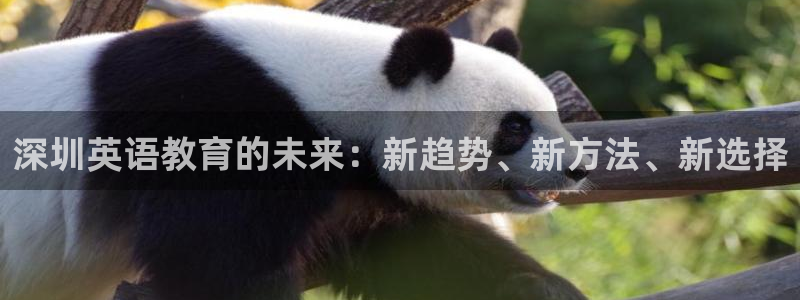 恒行娱乐周74OOO5：深圳英语教育的未来：新趋势、新方法、新选择