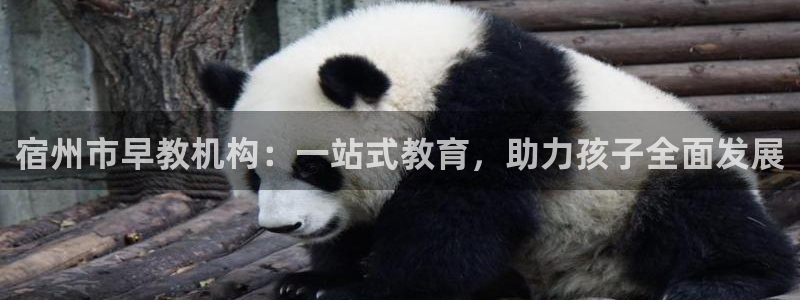 恒行娱乐冯74OOO5：宿州市早教机构：一站式教育，助力孩子全面发展