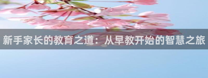 恒行娱乐卫74OOO5：新手家长的教育之道：从早教开始的智慧之旅