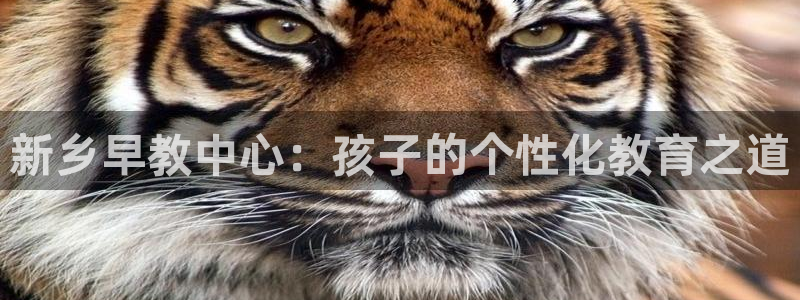 恒行主管招收 6ll5l出奇：新乡早教中心：孩子的个性化教育之道