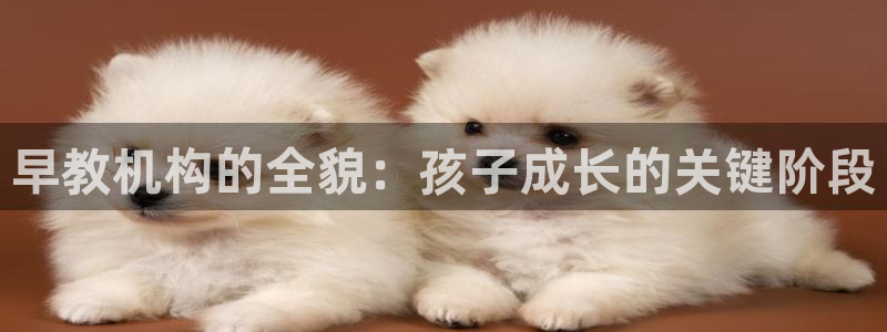 恒行娱乐登录5ll533主管一流：早教机构的全貌：孩子成长的关键阶段