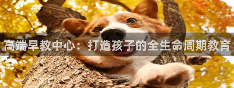 恒行娱乐热74ooo5主宰：高端早教中心：打造孩子的全生命周期教育