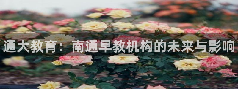 恒行娱乐寻问74 5：通大教育：南通早教机构的未来与影响
