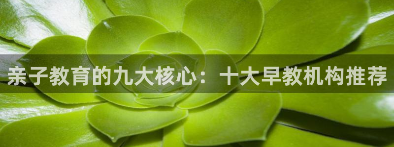 恒行主管招收 6ll5l出奇：亲子教育的九大核心：十大早教机构推荐