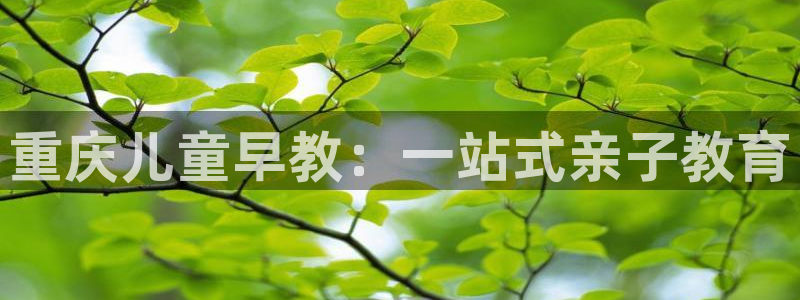 恒在5行中代表什么数字：重庆儿童早教：一站式亲子教育