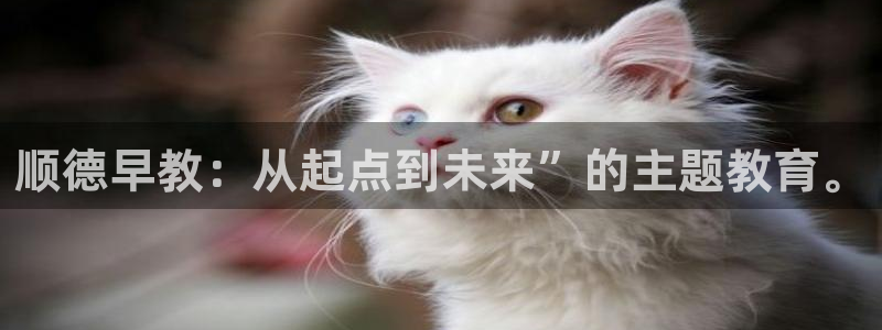 恒行娱乐寻问74 5：顺德早教：从起点到未来”的主题教育。