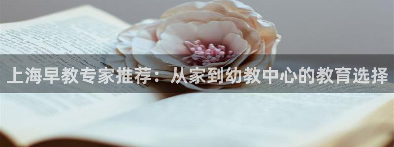 恒行娱乐5ll533主管耐心：上海早教专家推荐：从家到幼教中心的教育选择