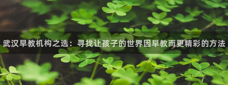 恒行主管6ll5l指定：武汉早教机构之选：寻找让孩子的世界因早教而更精彩的方法