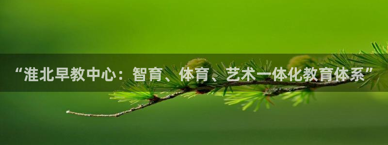 恒行娱乐登录信用 74ooo5：“淮北早教中心：智育、体育、艺术一体化教育体系”