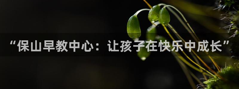 恒行2沈74OOO5：“保山早教中心：让孩子在快乐中成长”