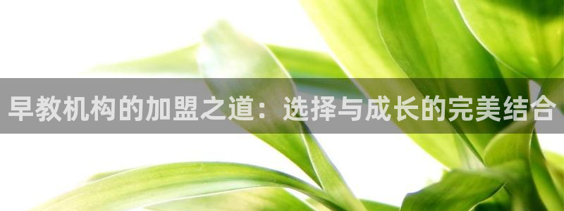 恒行5娱乐：早教机构的加盟之道：选择与成长的完美结合
