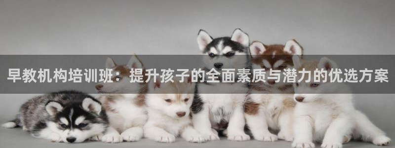 恒行娱乐登录5ll533主管一流：早教机构培训班：提升孩子的全面素质与潜力的优选