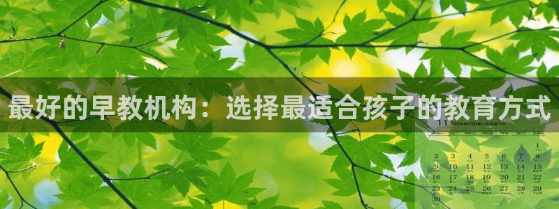 恒行主管6ll5l指定：最好的早教机构：选择最适合孩子的教育方式