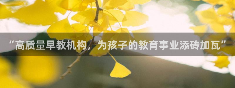 恒在5行中代表什么数字：“高质量早教机构，为孩子的教育事业添砖加瓦”