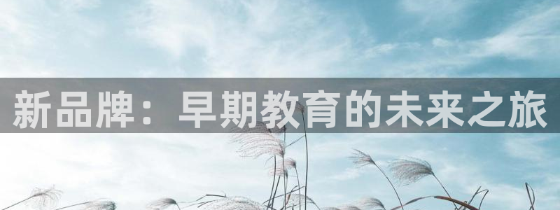 恒行2蒋74OOO5：新品牌：早期教育的未来之旅