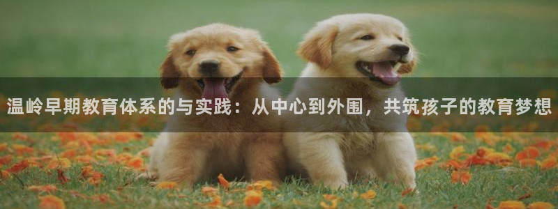 恒行娱乐5ll533主管优雅：温岭早期教育体系的与实践：从中心到外围，共筑孩子的