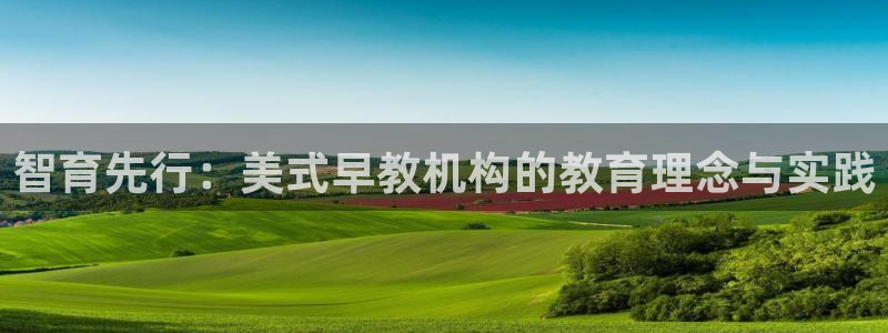 恒在5行中代表什么数字：智育先行：美式早教机构的教育理念与实践