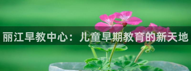 恒行娱乐5ll533主管优雅：丽江早教中心：儿童早期教育的新天地