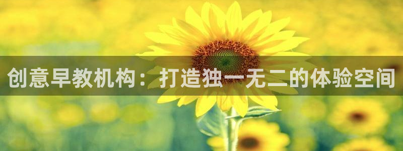 恒行2下74OOO5：创意早教机构：打造独一无二的体验空间