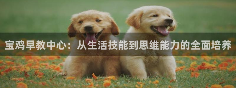 恒行注册招收6ll5l指定：宝鸡早教中心：从生活技能到思维能力的全面培养