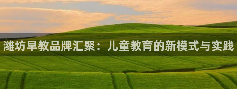 恒行娱乐登录信用 74ooo5：潍坊早教品牌汇聚：儿童教育的新模式与实践
