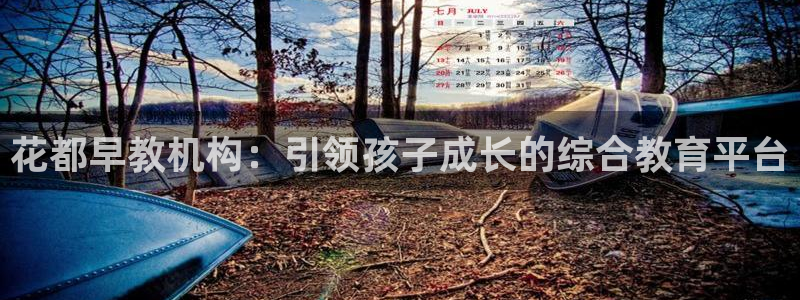 恒行2韩74OOO5：花都早教机构：引领孩子成长的综合教育平台