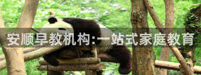 恒行娱乐登录5ll533主管一流：安顺早教机构:一站式家庭教育