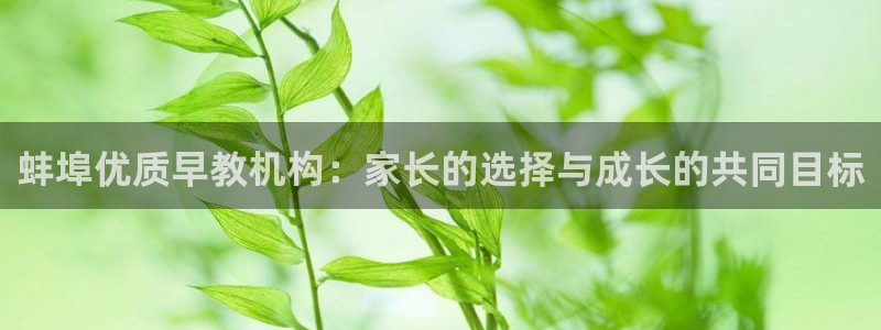 恒行娱乐招收点赞5ll533主管：蚌埠优质早教机构：家长的选择与成长的共同目标