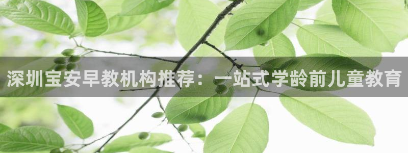 恒行2那74OO5：深圳宝安早教机构推荐：一站式学龄前儿童教育