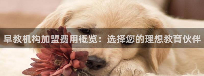 恒行2周74OOO5：早教机构加盟费用概览：选择您的理想教育伙伴