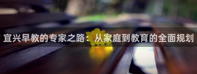 恒行2蒋74OOO5：宜兴早教的专家之路：从家庭到教育的全面规划
