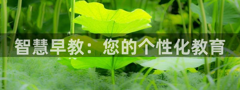 恒行代理总代主导 6ll5l：智慧早教：您的个性化教育