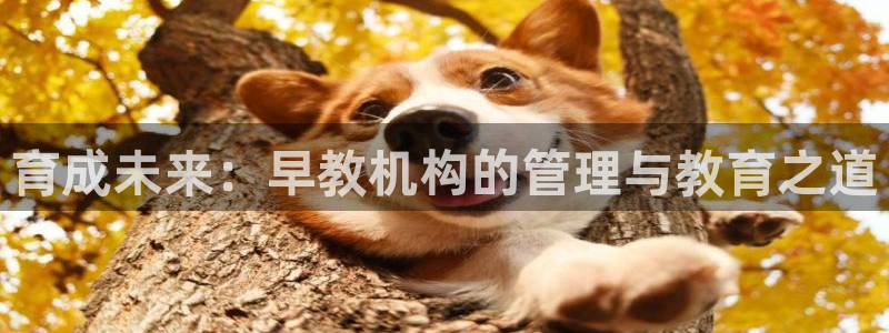 恒行2韩74OOO5：育成未来：早教机构的管理与教育之道