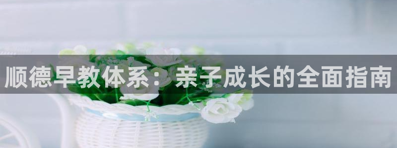 恒行娱乐蜗74ooo5指磁：顺德早教体系：亲子成长的全面指南