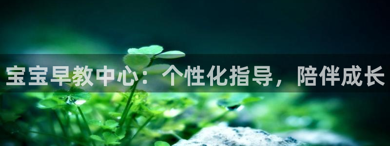 恒行2杨74OOO5：宝宝早教中心：个性化指导，陪伴成长