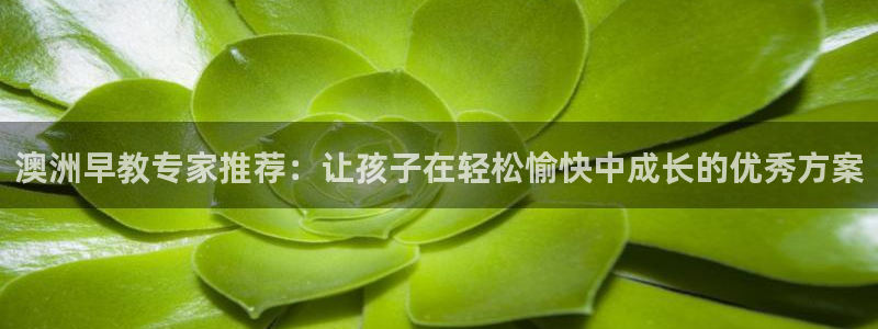 恒行娱乐热74ooo5主宰：澳洲早教专家推荐：让孩子在轻松愉快中成长的优秀方案