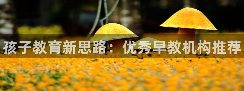 恒行娱乐陈74OOO5：孩子教育新思路：优秀早教机构推荐