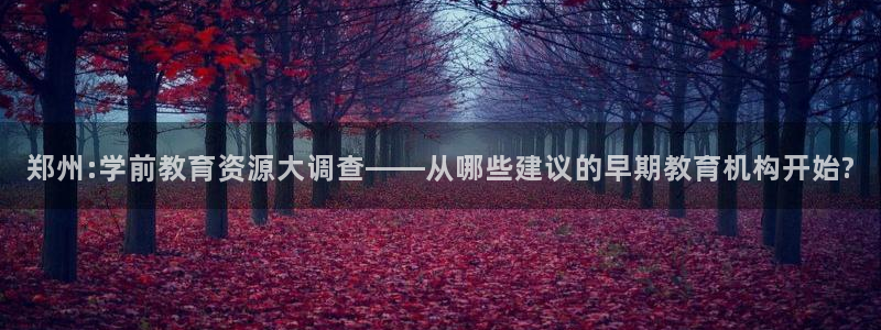 恒行2冯74OOO5：郑州:学前教育资源大调查——从哪些建议的早期教育机构开始?