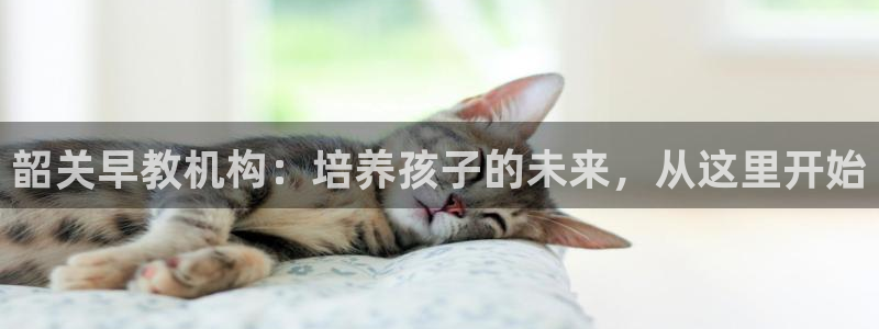 恒行开户娱乐赞议6ll5l：韶关早教机构：培养孩子的未来，从这里开始