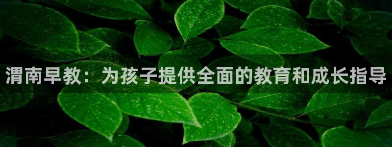 恒行2周74OOO5：渭南早教：为孩子提供全面的教育和成长指导
