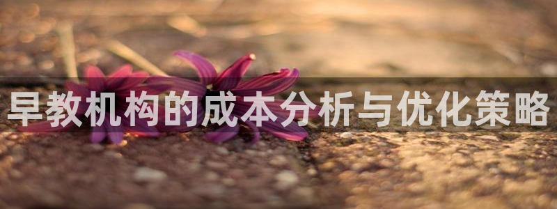 恒行娱乐陈74OOO5：早教机构的成本分析与优化策略