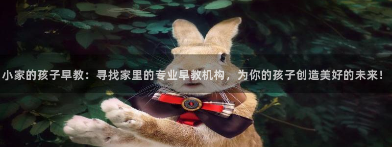 恒行娱乐毓婆74ooo5仪：小家的孩子早教：寻找家里的专业早教机构，为你的孩子创