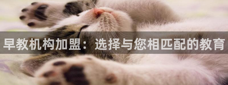 恒行娱乐鸟74ooo5判官：早教机构加盟：选择与您相匹配的教育