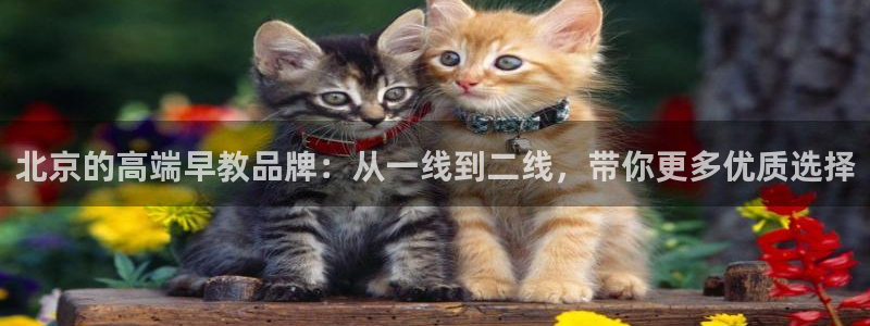 恒行2陈74OOO5：北京的高端早教品牌：从一线到二线，带你更多优质选择